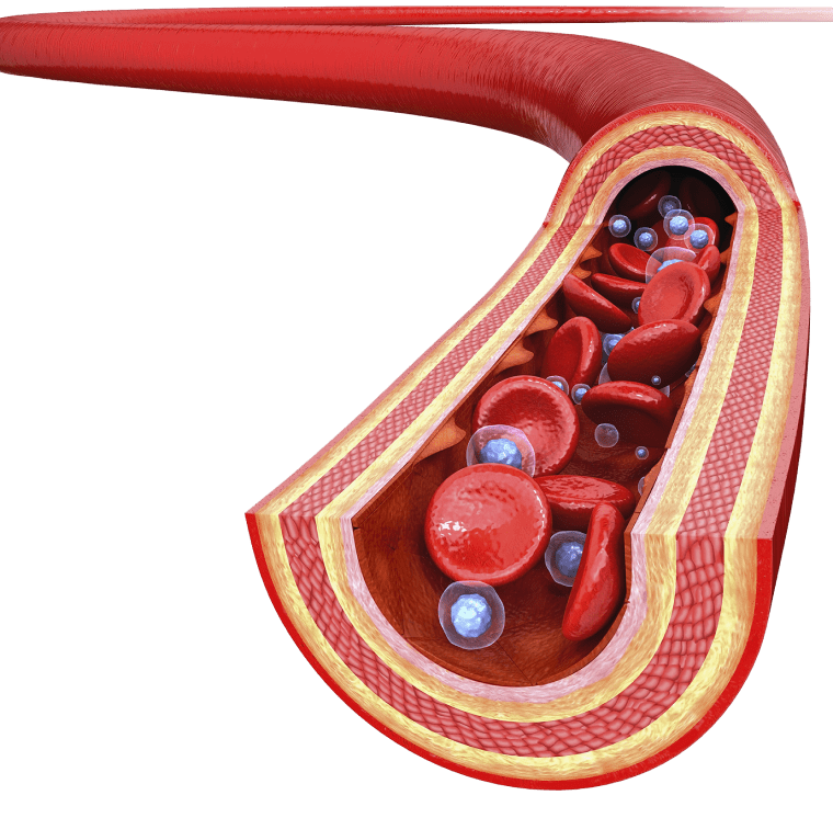Blood leukocytes platelets background png image