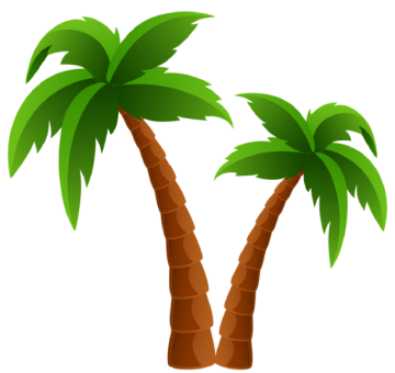 Coconut tree illustration image , Drawing coconut tree