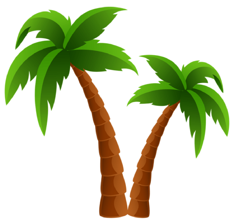 Coconut tree illustration image , Drawing coconut tree