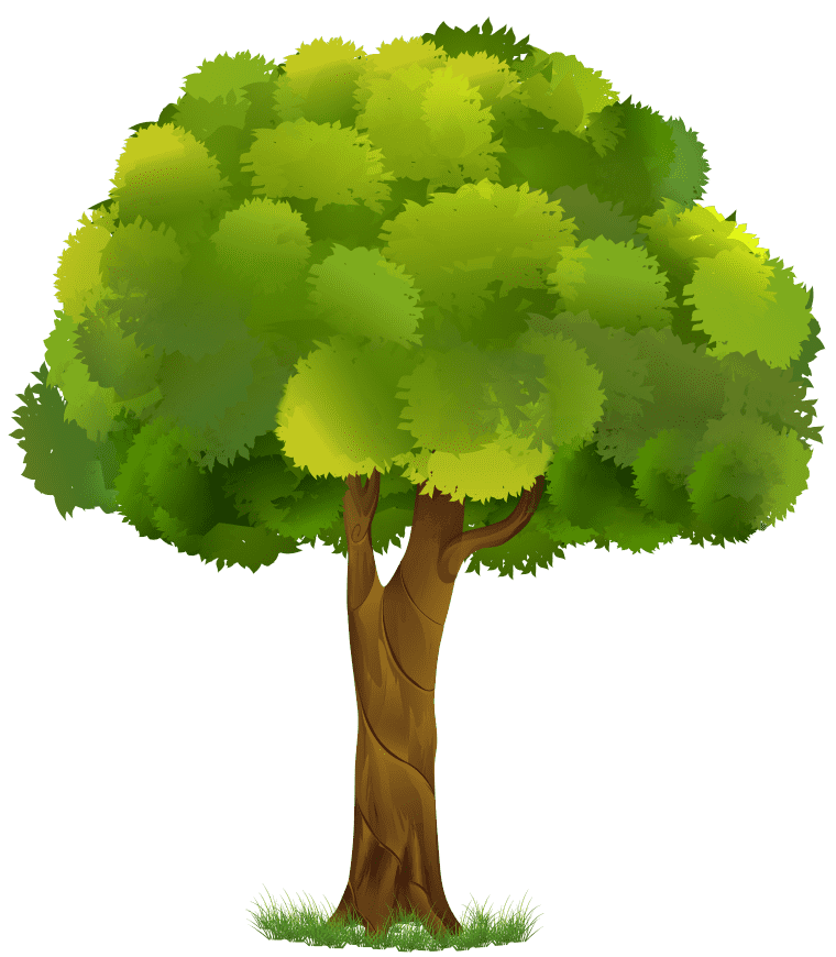 Drawing Green Tree Plant, tree illustration image png