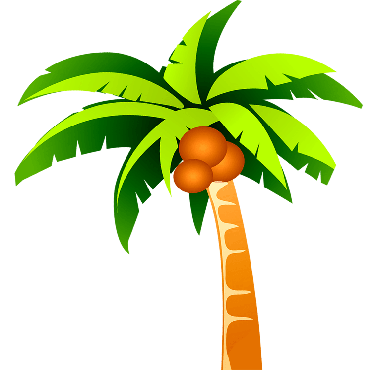 Drawing coconut tree illustration image , Coconut tree