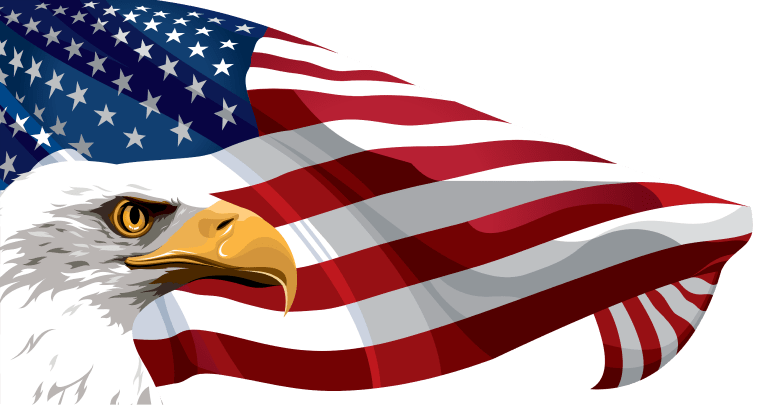 Flag of the United States, American Flag, flag, Eagle png