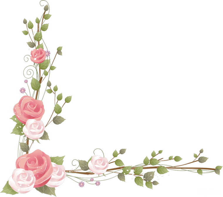 Flower Rose, Rose png transparent image, pretty flowers