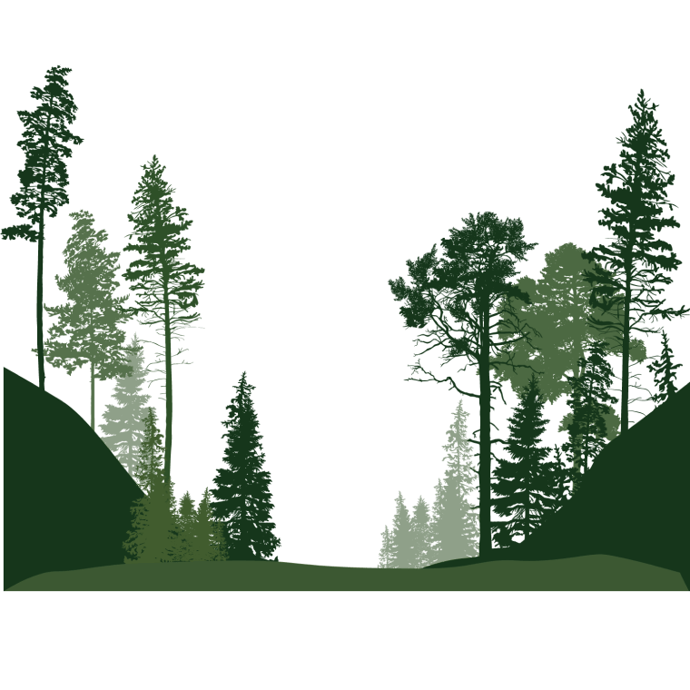 Forest of trees illustration, Drawing forest trees, leaf png