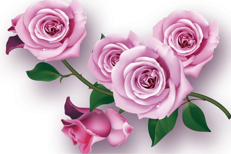 https://www.pngarc.com/wp-content/uploads/2023/05/Garden-roses-Flower-Purple-Floral-design-Purple-flowers-flower-Arranging-violet-artificial-Flower-png-1-min.png