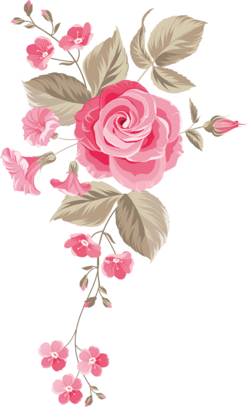 Garden roses flowers, Rose png transparent image