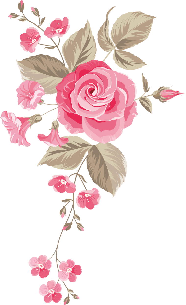 Garden roses flowers, Rose png transparent image