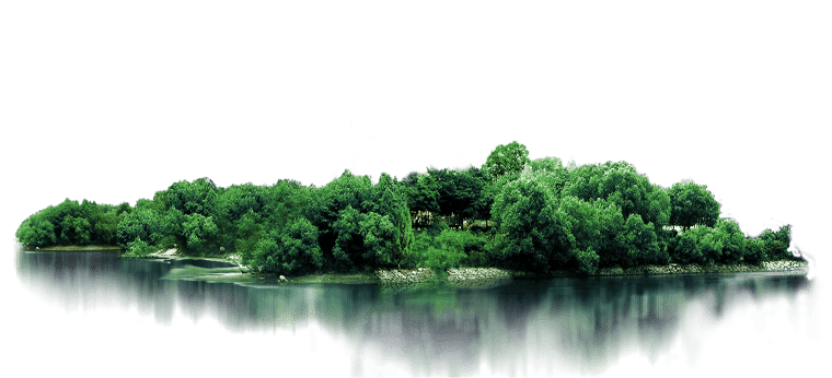 Green leafed trees, Tree, Woods, leaf, branch, landscape png free download