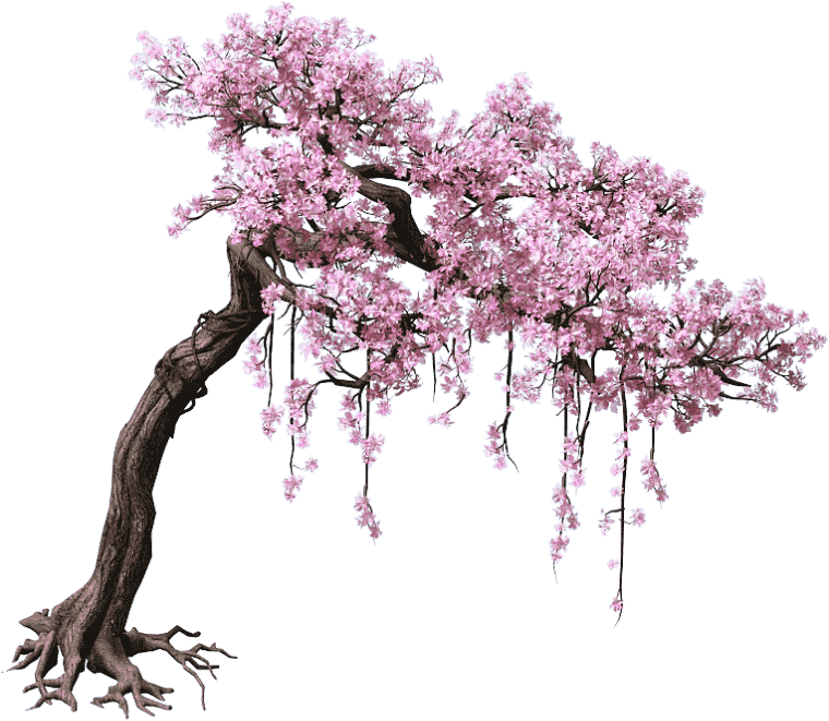Pink and cherry blossom tree, Purple Leaf Tree Png