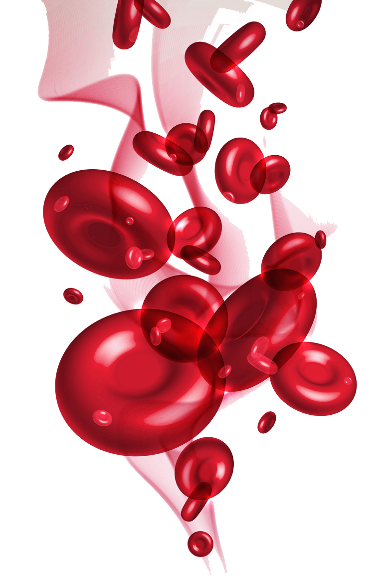 Red blood cell background png image