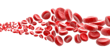 Blood cells flow background png image