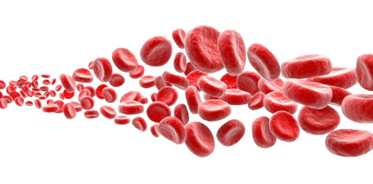 Blood cells flow background png image