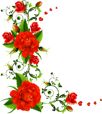 Rose Flower, Rose png transparent image, flower border