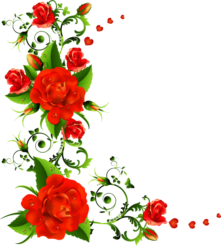 Rose Flower, Rose png transparent image, flower border