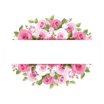 Rose Pink Flower graphy, Pink watercolor flower