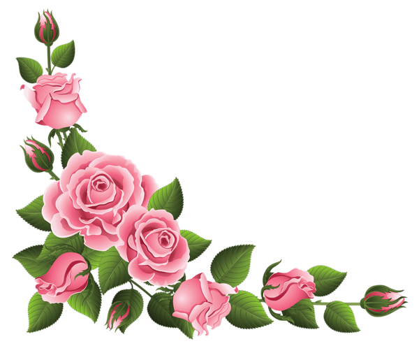 Rose Pink, Rose png transparent image, artificial Flower