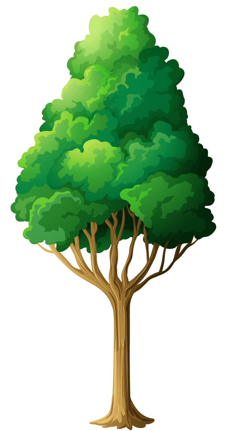 Tree, green tree illustration, leaf, branch, plant stem png