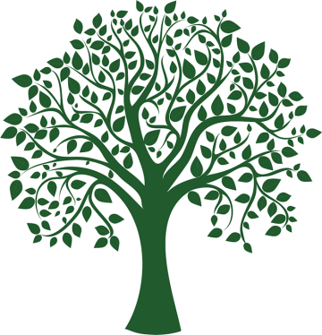 Tree drawing logo illustration, green tree icon png