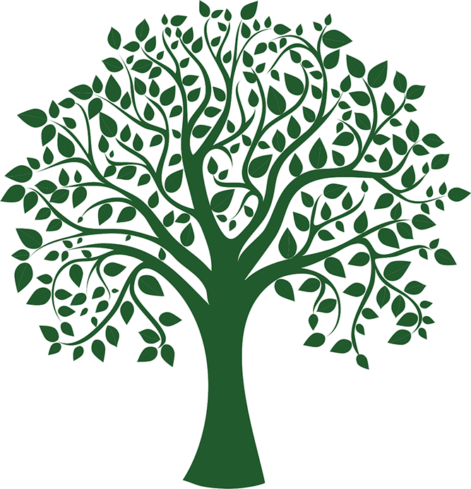 Tree drawing logo illustration, green tree icon png