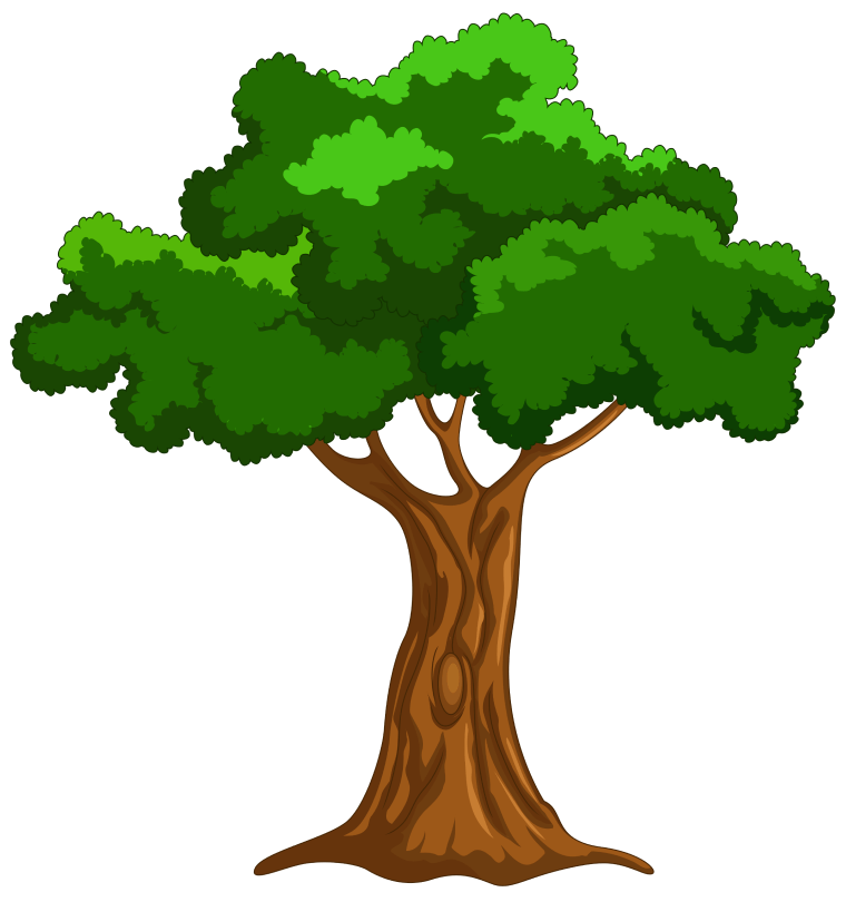Tree illustration work, Tree drawing by illustration image