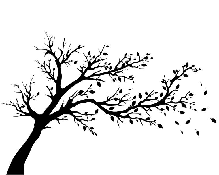 Tree silhouette decal tree, leaf, black color tree branch
