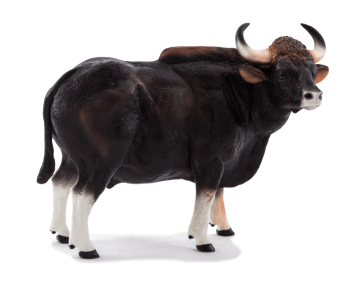 Water buffalo Toy Gaur Bison bull background png image