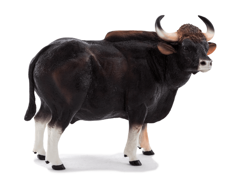 Water buffalo Toy Gaur Bison bull background png image