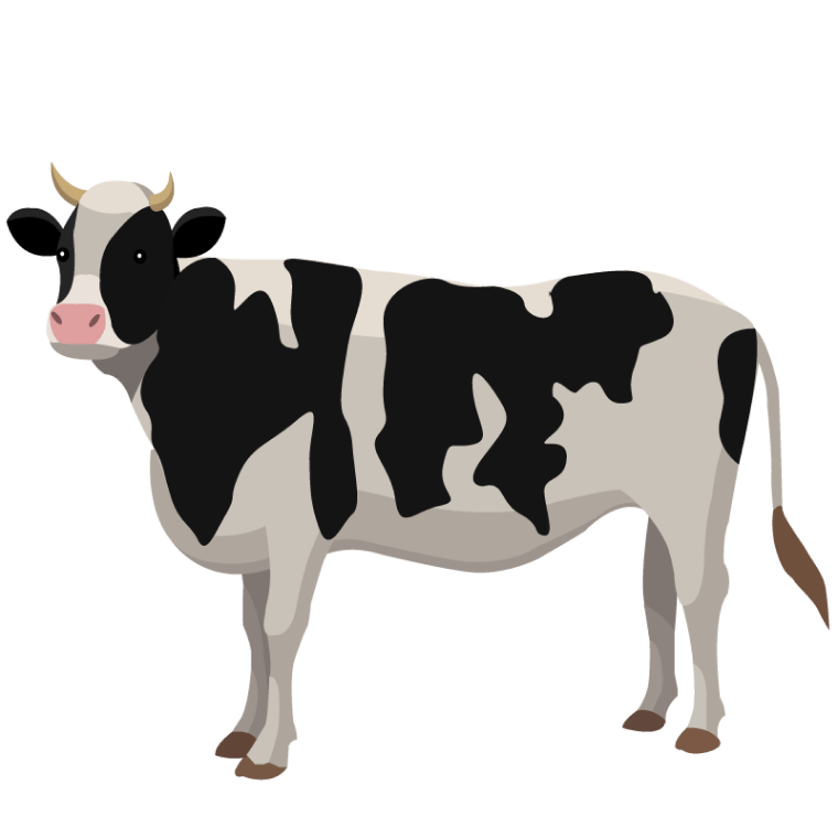 black and white cattle cow background png image