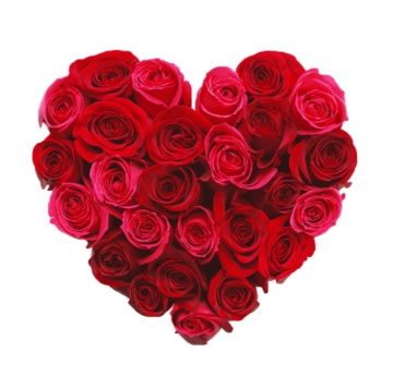 bouquet of red roses, Heart rose, flower Arranging