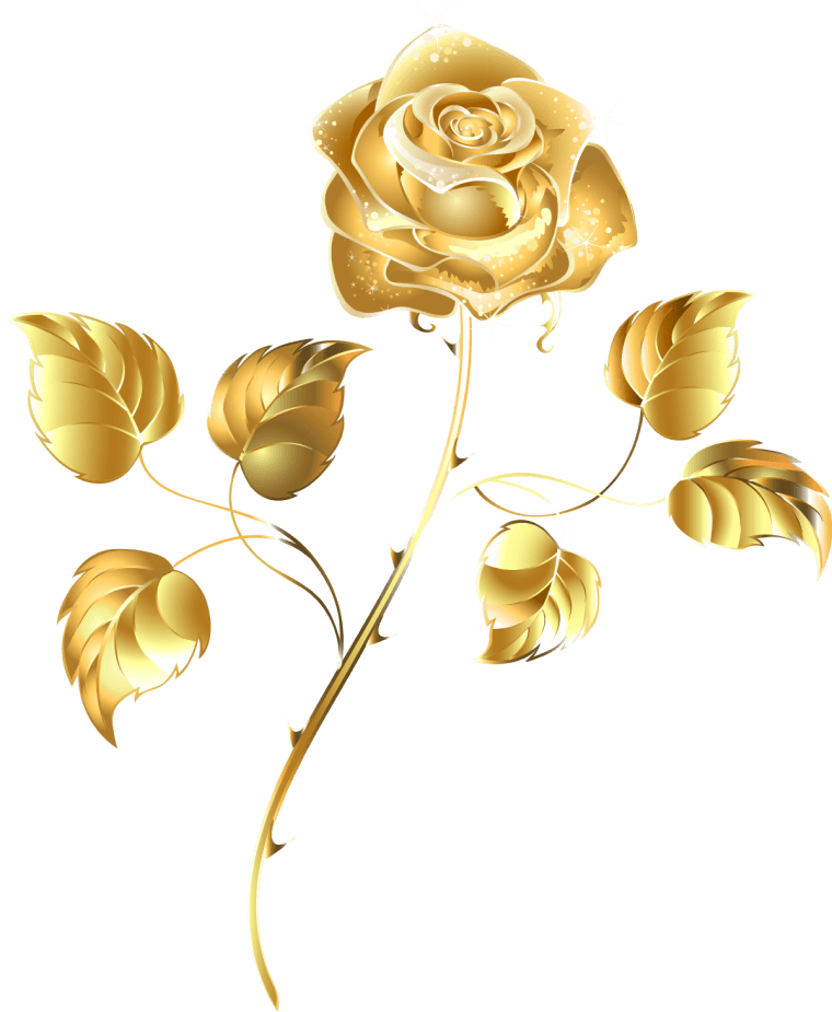 gold rose, Rose png transparent image, flower Arranging