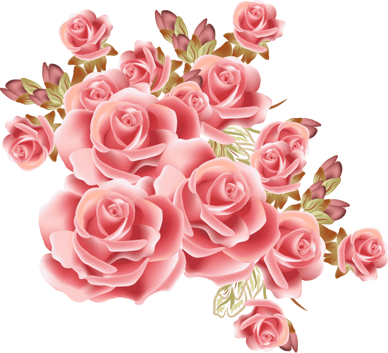 pink rose png, Rose png transparent image, Rose Flower