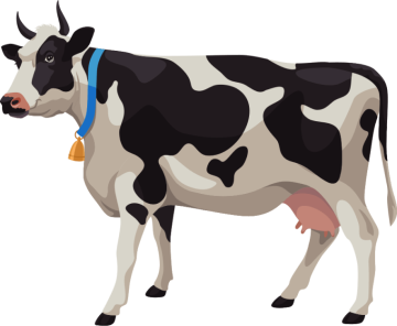 white and black cow background png image