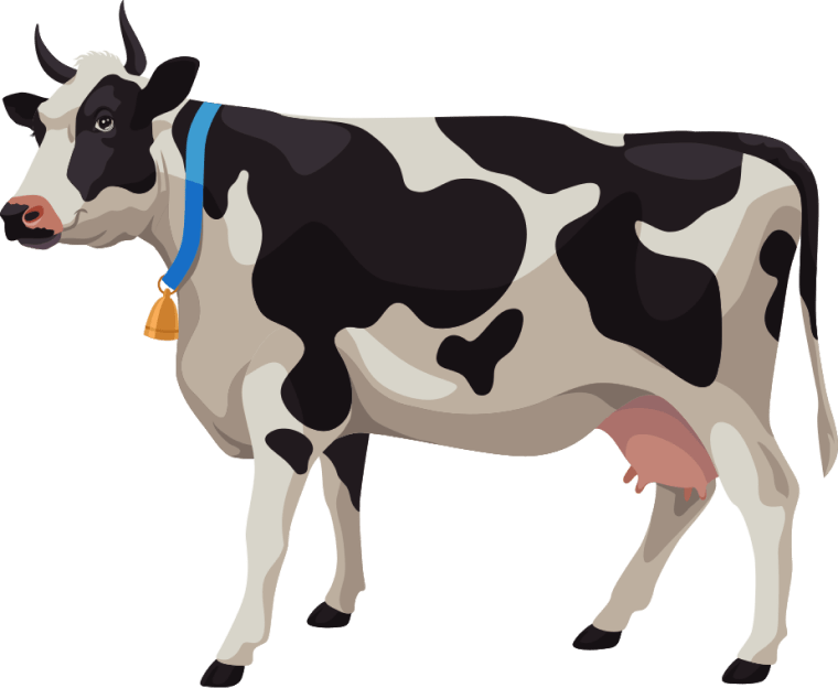 white and black cow background png image