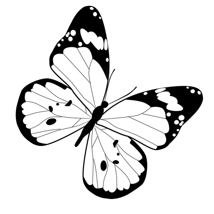 Black and white color butterfly, black butterfly, watercolor