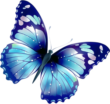 Blue color butterfly, blue butterfly, blue and white color