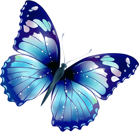 Blue color butterfly, blue butterfly, blue and white color
