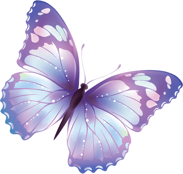 Blue color butterfly free content, purple color butterfly