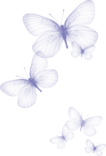 Butterflies illustration, butterfly, fluttering butterflies