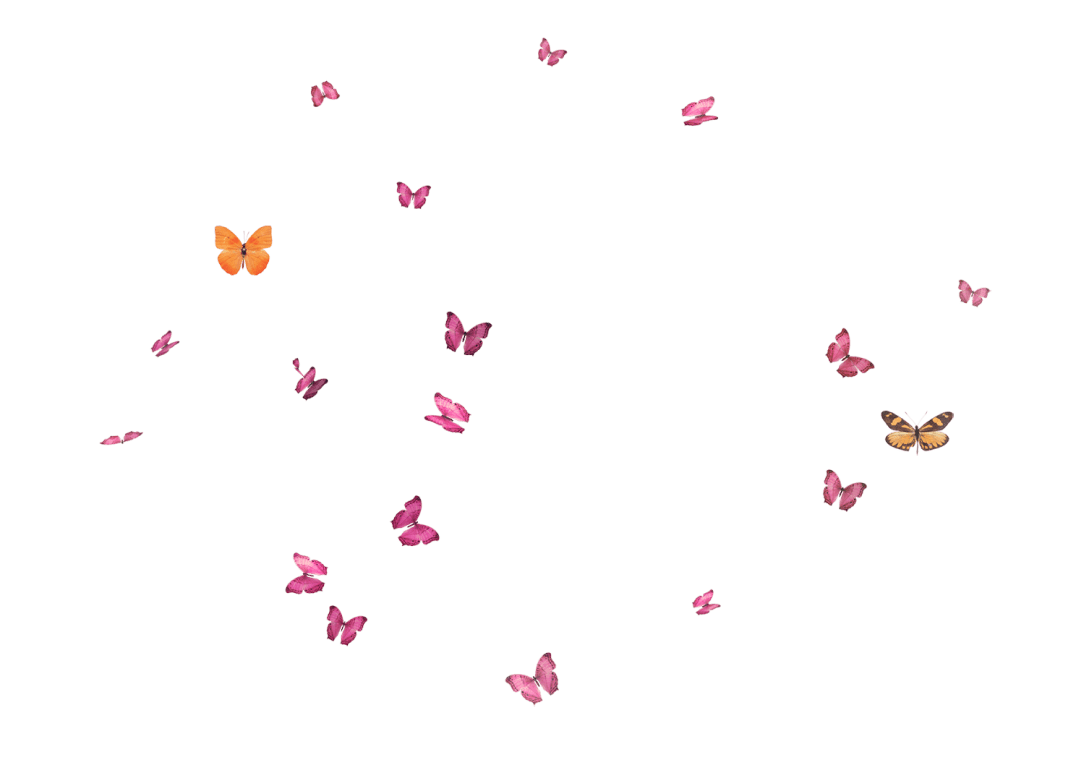 Butterflies illustration works, butterfly flight png