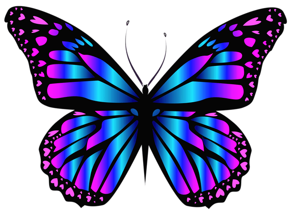 Colorful butterfly draw by illustration,blue butterfly, purple