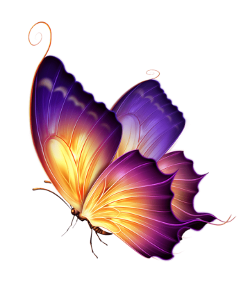 Colorful illustration purple butterfly, purple butterfly png