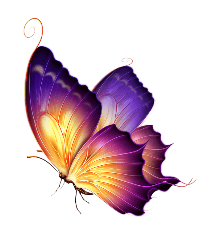 Colorful illustration purple butterfly, purple butterfly png