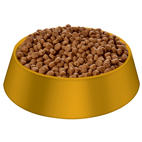 Dog food and cat food, dog breed science diet, dog food
