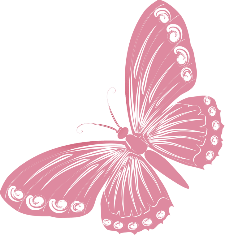 Pink color butterfly drawing in illustration, pink butterfly