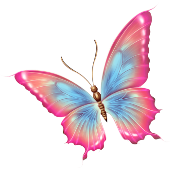 Pink and blue butterfly art by illustration software