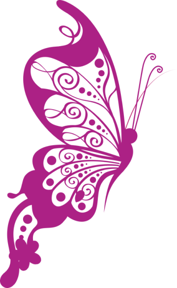 Pink color butterfly logo, illustration drawing pink butterfly