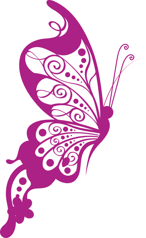 Pink color butterfly logo, illustration drawing pink butterfly