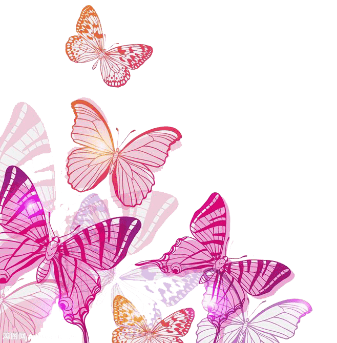 Pink color butterfly, pink and orange butterflies illustration