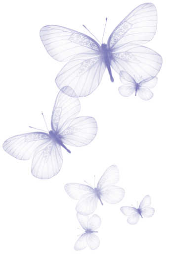 Purple Color butterfly, butterfly, butterflies on blue