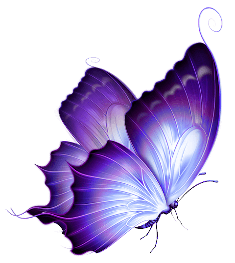 Purple and white butterfly illustration, butterfly colorful